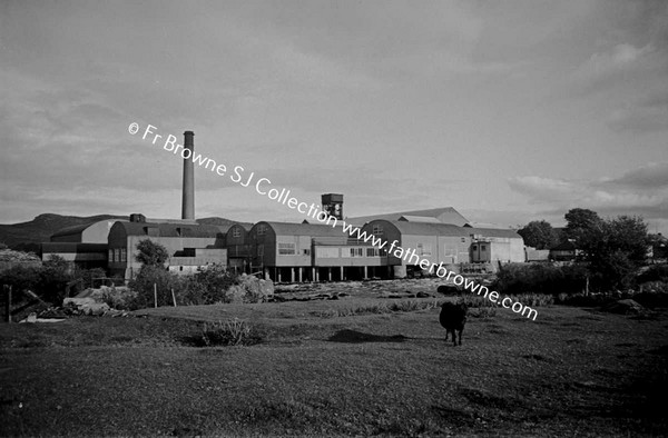 WIDE ANGLE PANORAMA OF MILL